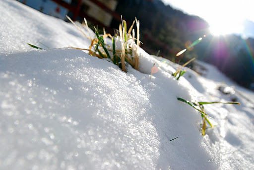 Zapada- binecuvantare pentru agricultura