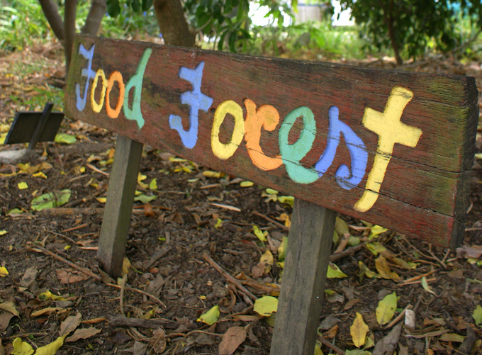 Food Forest sau Pădurea din Grădină