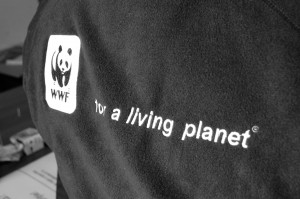 WWF Open Day, decembrie 2012  - foto Alex Miroiu