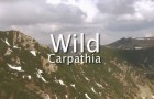 wild_carpathia