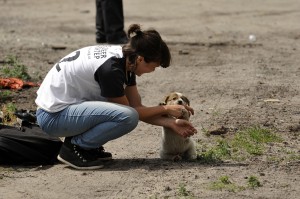 FOUR PAWS SAC PROJECT IN KIEV