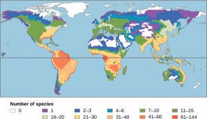This map illustrates the number of amphibian species across the globe and shows the trend toward higher biodiversity at lower latitudes. A similar pattern is observed for most taxonomic groups.