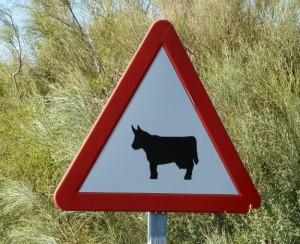 Cattle/Bull road sign in Spain :)...Bull with horns...Ole!