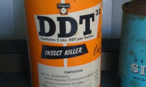 sticla-cu-DDT