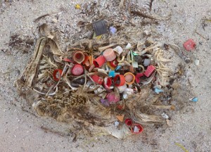 marine-debris-beach-midway-credit-chris-jordan_472