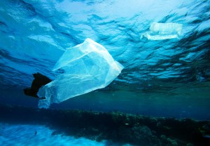 ocean-plastic-garbage-patch