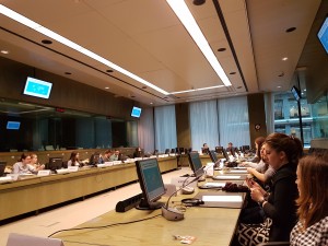 Discuție la Consiliul Uniunii Europene