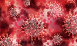Coronavirus Sursa: https://pixabay.com/images/search/coronavirus/